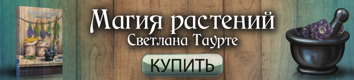 Магазин Магии Во Владимире Магазин Магии Во Владимире
