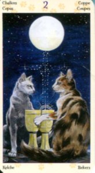 Tarot of Pagan Cats. Таро Языческих кошек (мини) %% 2 чаш