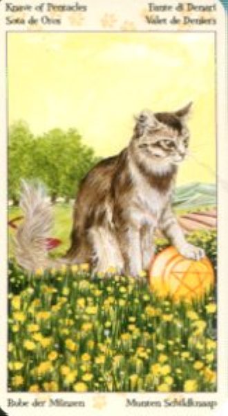 Tarot of Pagan Cats. Таро Языческих кошек (мини) %% Паж жезлов