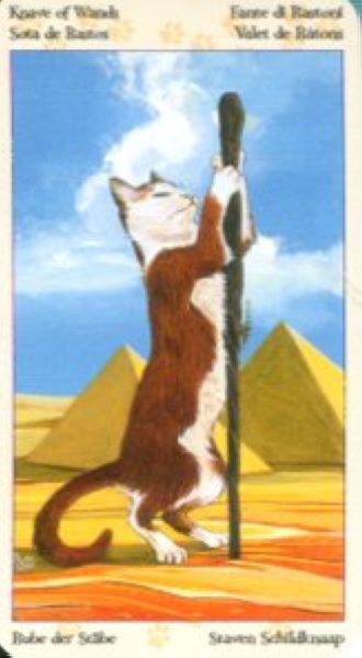 Tarot of Pagan Cats. Таро Языческих кошек (мини) %% Паж мечей