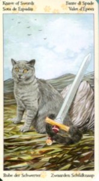 Tarot of Pagan Cats. Таро Языческих кошек (мини) %% Паж пентаклей