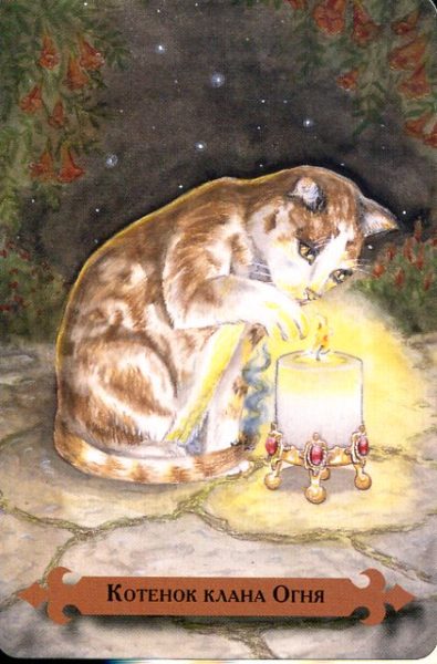 Таро мистических кошек (книга + 78 карт) %% XVI Башня