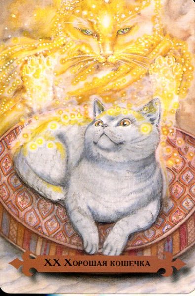 Таро мистических кошек (книга + 78 карт) %% 8 чаш