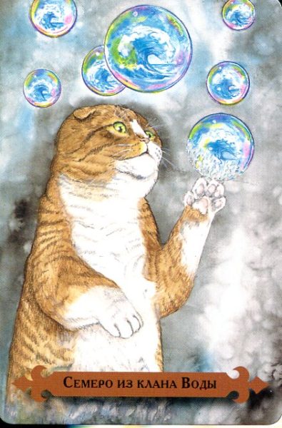 Таро мистических кошек (книга + 78 карт) %% 6 жезлов