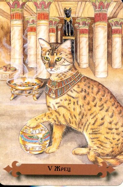 Таро мистических кошек (книга + 78 карт) %% 2 пентаклей