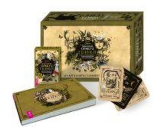 Викканский Оракул Теней. Заклинания Луны, Ритуалы Солнца брошюра + 48 карт в подарочной упаковке
