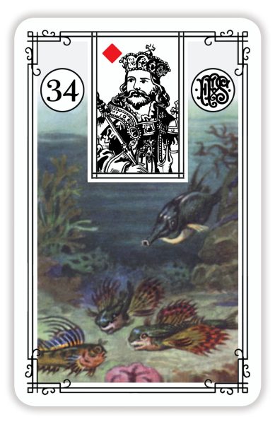 Гадальные карты «Малая колода Ленорман» (оракул 36 карт с инструкцией для гадания) %% Рыба. Король бубен