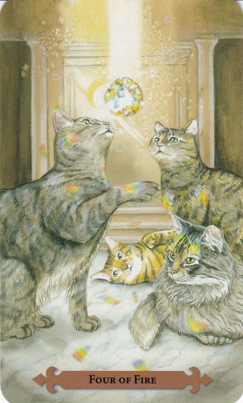 Mystical Cats Tarot. Таро Мистических Кошек %% Иллюстрация 7