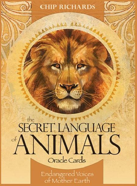 Secret Language of Animals (Оракул тайный язык животных) %% обложка 1