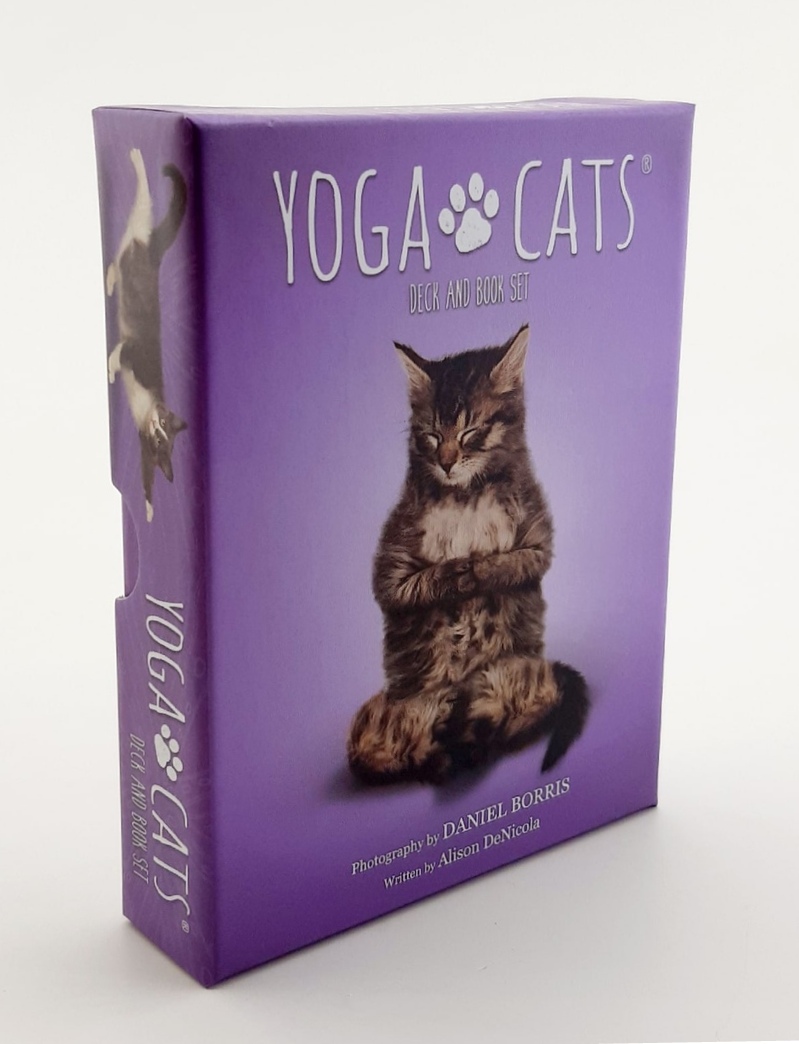 Yoga Cats Deck Book Set Йога Кошек %% Иллюстрация 11