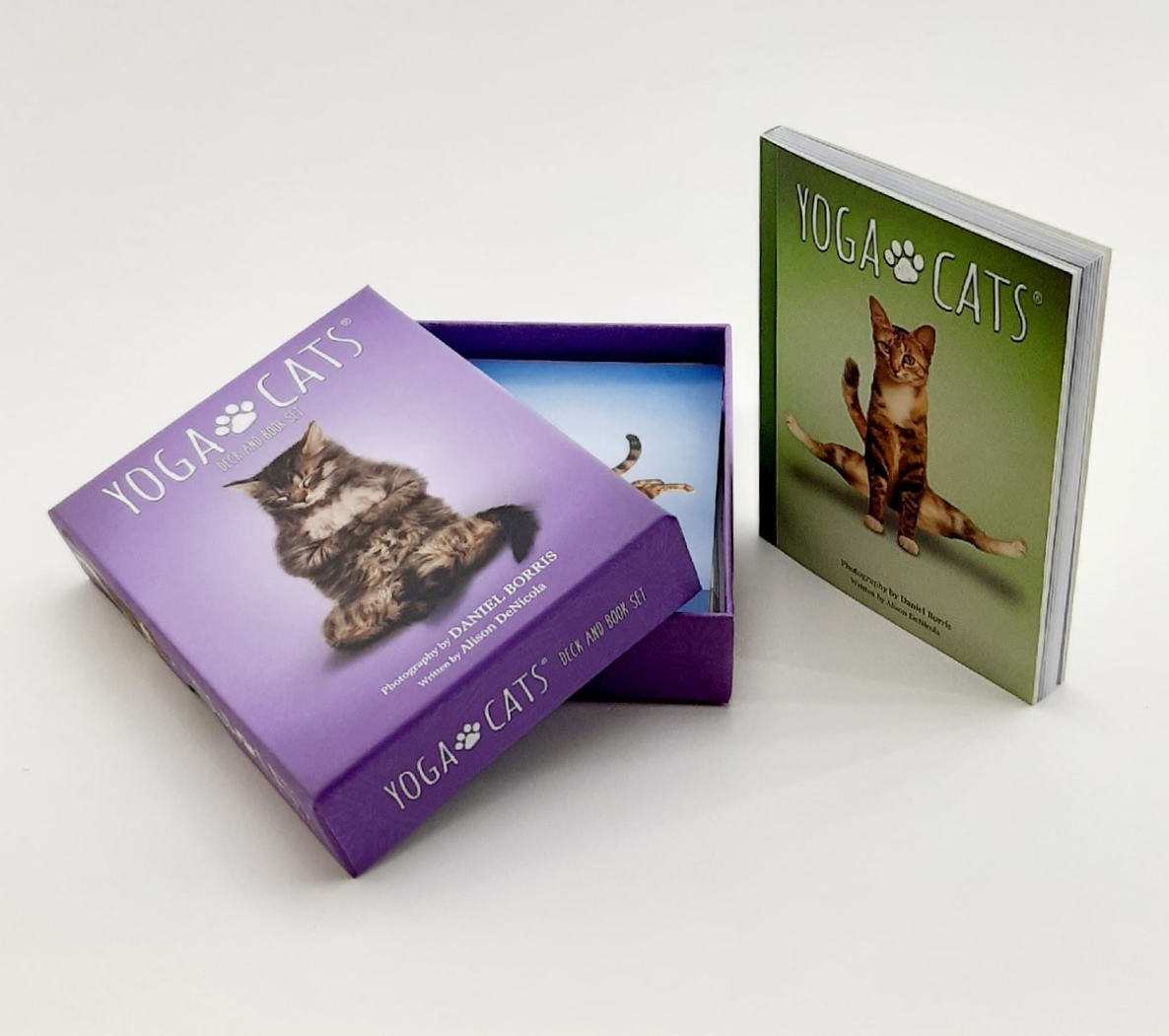 Yoga Cats Deck Book Set Йога Кошек %% Иллюстрация 16