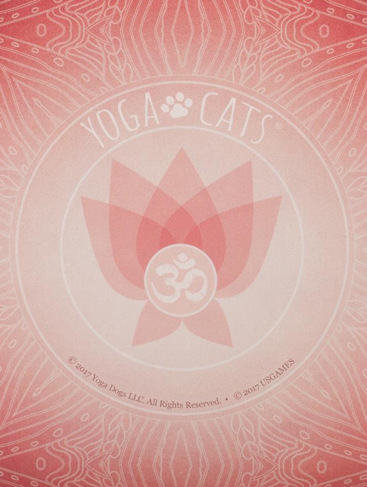 Yoga Cats Deck Book Set Йога Кошек %% Рубашка 1