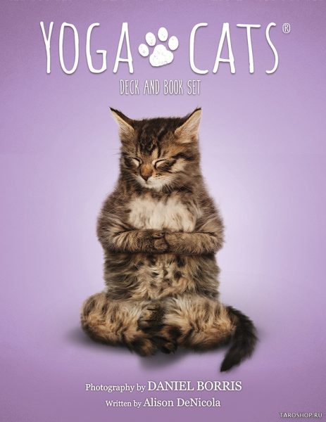 Yoga Cats Deck Book Set Йога Кошек %% Обложка