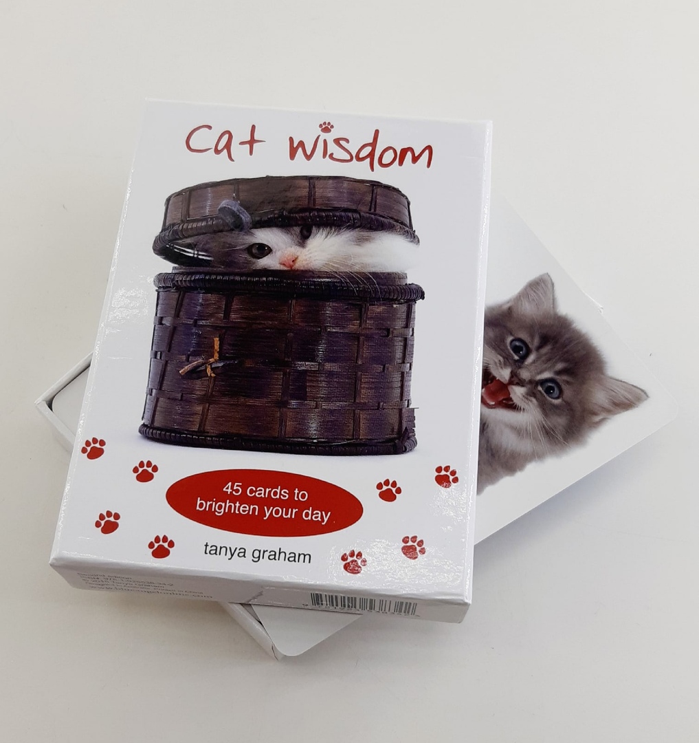 Cat Wisdom. Карты Кошачья Мудрость %% Иллюстрация 9