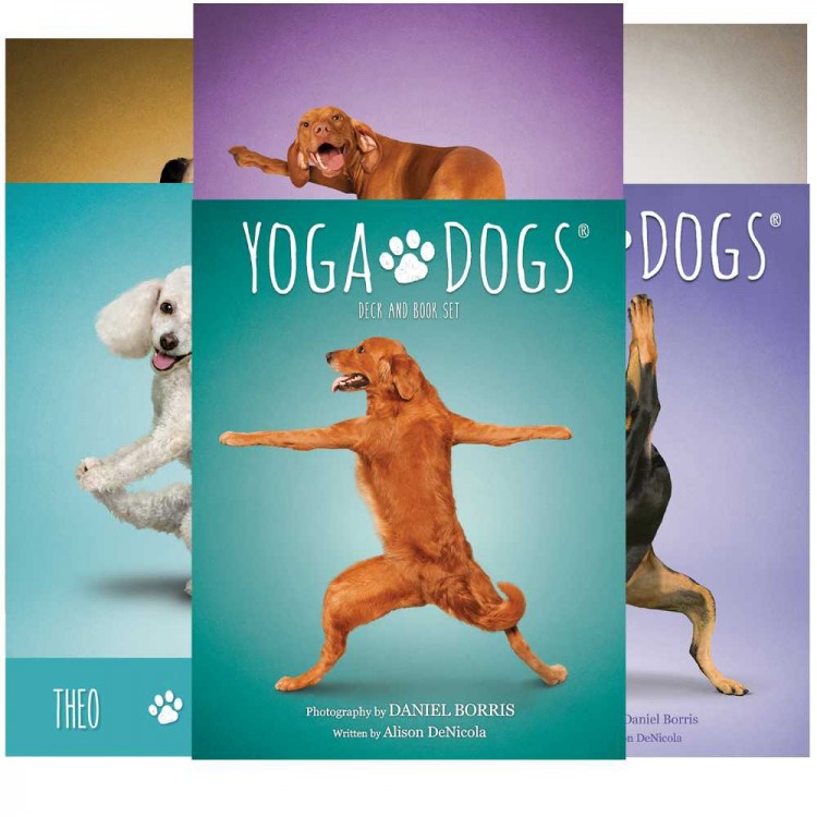 Yoga Dogs Challenges cards. Карты Йога собак %% карты 1