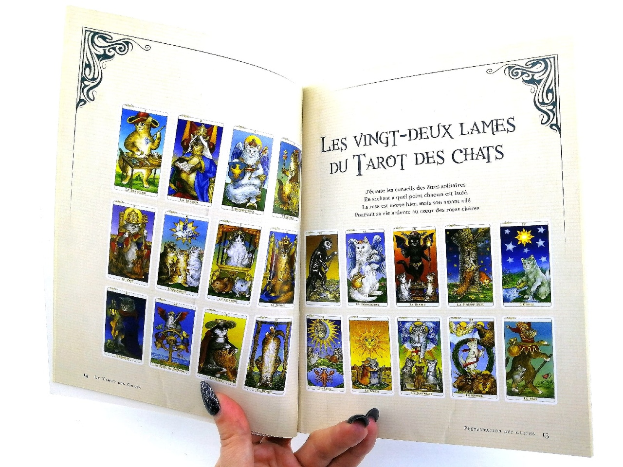 Таро кошек (Tarot des chats). Комплект: книга и карты %% изображение 5