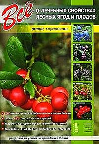 Все о лечебных свойствах лесных ягод и плодов %% 