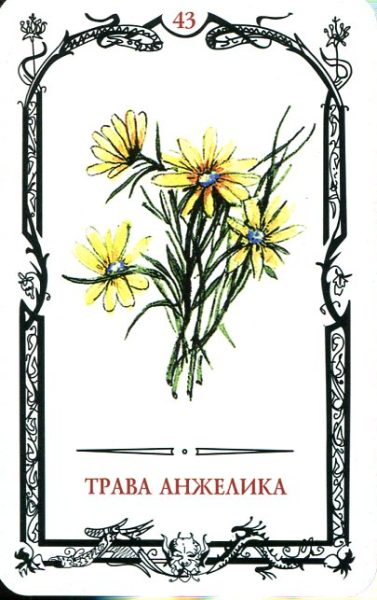 Таро Теней Скляровой В.А. с книгой %% 7 жезлов