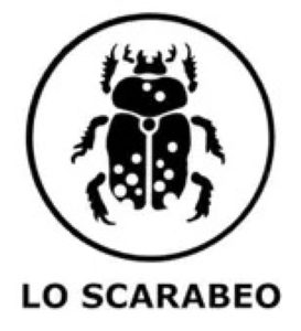 Lo Scarabeo - Новинки наступающего года!
