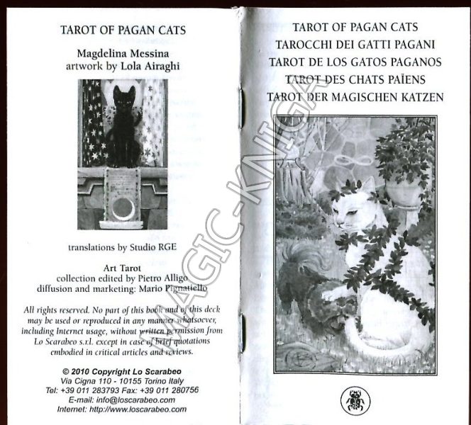 Таро Языческих Кошек (Tarot of Pagan Cats) %% Иллюстрация 3