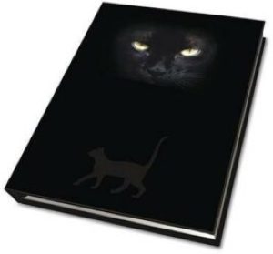 Магический дневник. Глаза Кошки (Cat`s eyes)