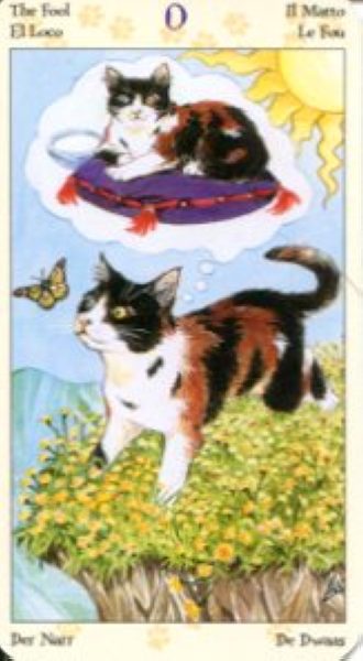 Tarot of Pagan Cats. Таро Языческих кошек (мини) %% 0 Шут