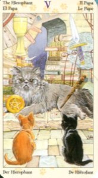 Tarot of Pagan Cats. Таро Языческих кошек (мини) %% V Жрец