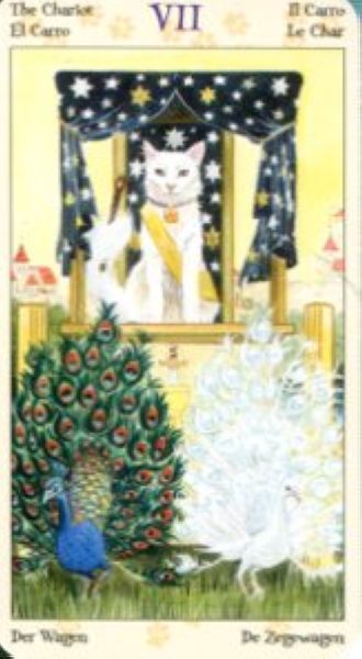 Tarot of Pagan Cats. Таро Языческих кошек (мини) %% VII Колесница