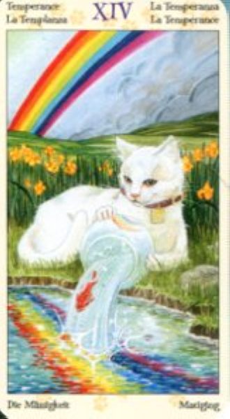 Tarot of Pagan Cats. Таро Языческих кошек (мини) %% XIV Умеренность