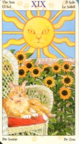 Tarot of Pagan Cats. Таро Языческих кошек (мини) %% XIX Солнце