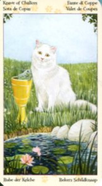 Tarot of Pagan Cats. Таро Языческих кошек (мини) %% Паж чаш