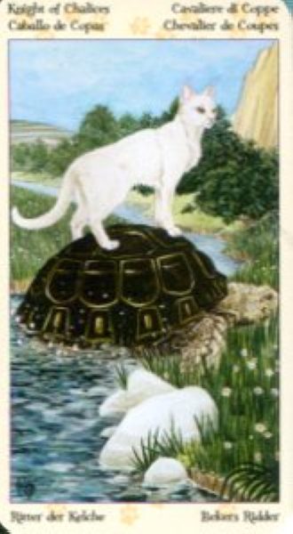 Tarot of Pagan Cats. Таро Языческих кошек (мини) %% Рыцарь чаш