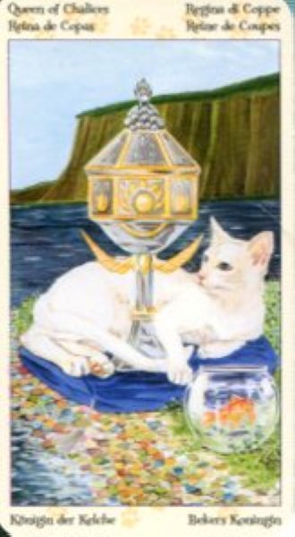 Tarot of Pagan Cats. Таро Языческих кошек (мини) %% Королева чаш