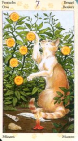 Tarot of Pagan Cats. Таро Языческих кошек (мини) %% 7 жезлов