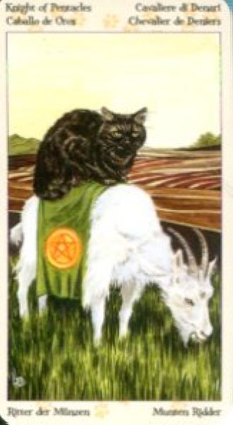 Tarot of Pagan Cats. Таро Языческих кошек (мини) %% Рыцарь жезлов