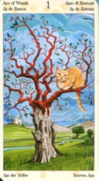 Tarot of Pagan Cats. Таро Языческих кошек (мини) %% Туз мечей