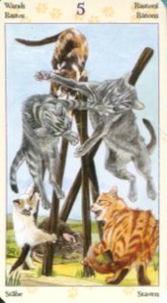 Tarot of Pagan Cats. Таро Языческих кошек (мини) %% 5 мечей