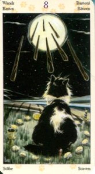 Tarot of Pagan Cats. Таро Языческих кошек (мини) %% 8 мечей