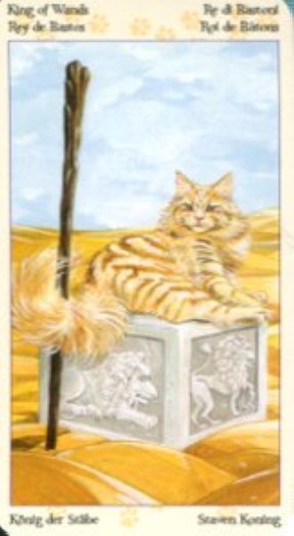 Tarot of Pagan Cats. Таро Языческих кошек (мини) %% Король мечей