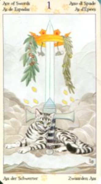 Tarot of Pagan Cats. Таро Языческих кошек (мини) %% Туз пентаклей