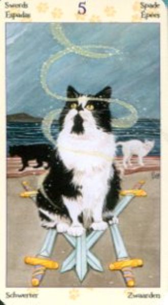 Tarot of Pagan Cats. Таро Языческих кошек (мини) %% 5 пентаклей