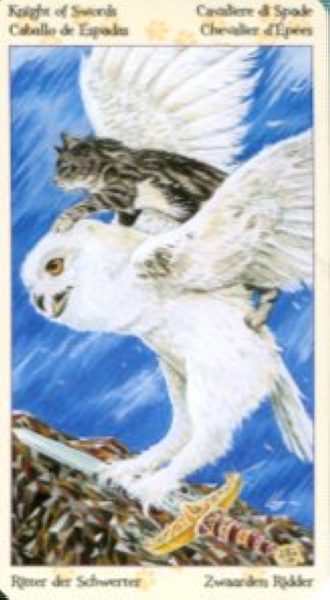 Tarot of Pagan Cats. Таро Языческих кошек (мини) %% Рыцарь пентаклей
