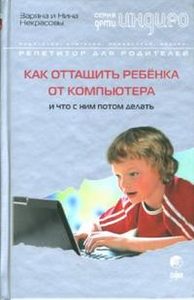 Как оттащить ребенка от компьютера и что с ним потом делать