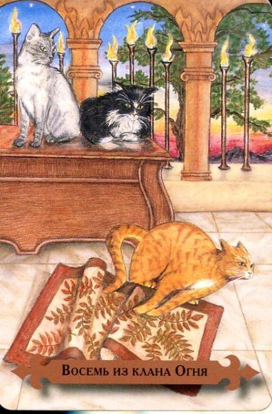 Таро мистических кошек (книга + 78 карт) %% X Колесо фортуны
