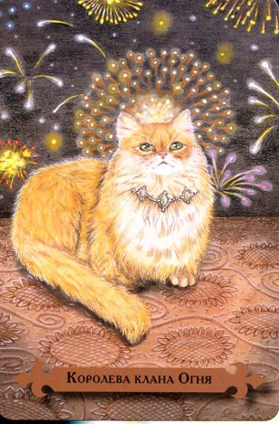 Таро мистических кошек (книга + 78 карт) %% XVII Звезда