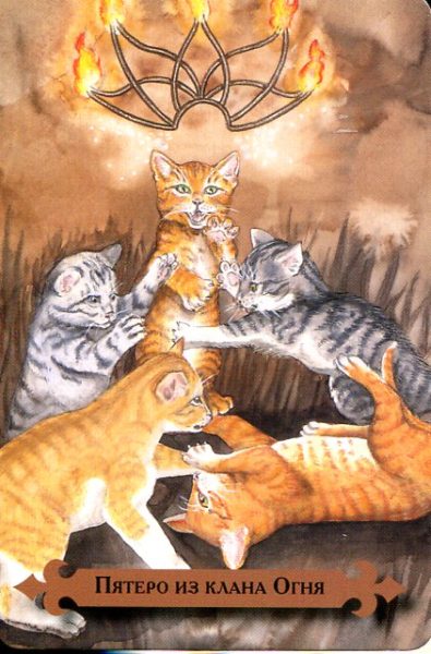 Таро мистических кошек (книга + 78 карт) %% XX Суд