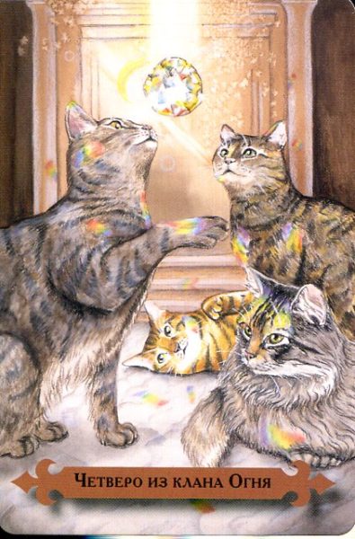 Таро мистических кошек (книга + 78 карт) %% Туз чаш