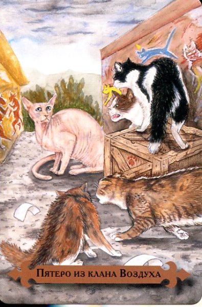 Таро мистических кошек (книга + 78 карт) %% 4 чаш
