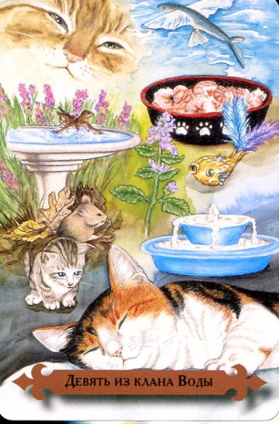 Таро мистических кошек (книга + 78 карт) %% Рыцарь чаш