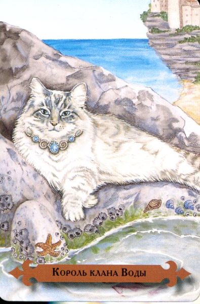 Таро мистических кошек (книга + 78 карт) %% Король чаш